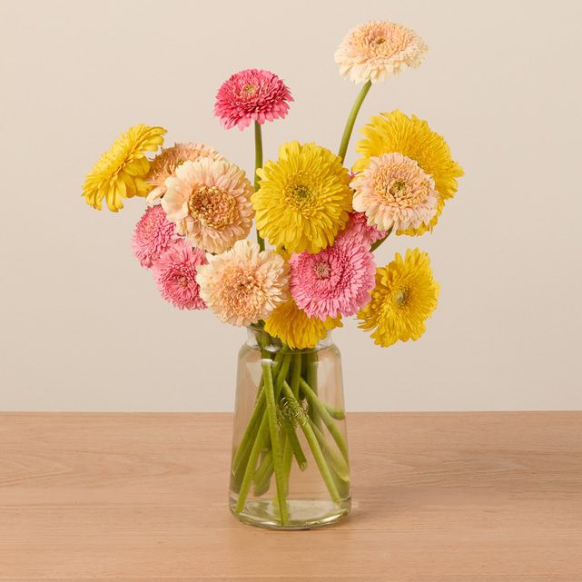 Fancy Daisies - Image 2