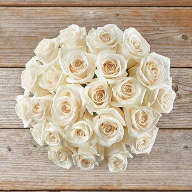 Luxurious White Roses