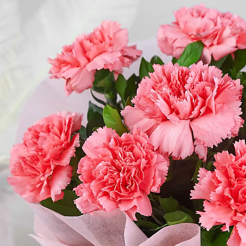 Beautiful 8 Pink Carnations Flower Bouquet - Image 2